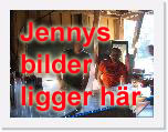 Jennys bilder * (50 Slides)